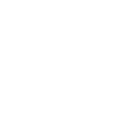 Github Logo Icon